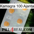 Kamagra 100 Ajanta 24